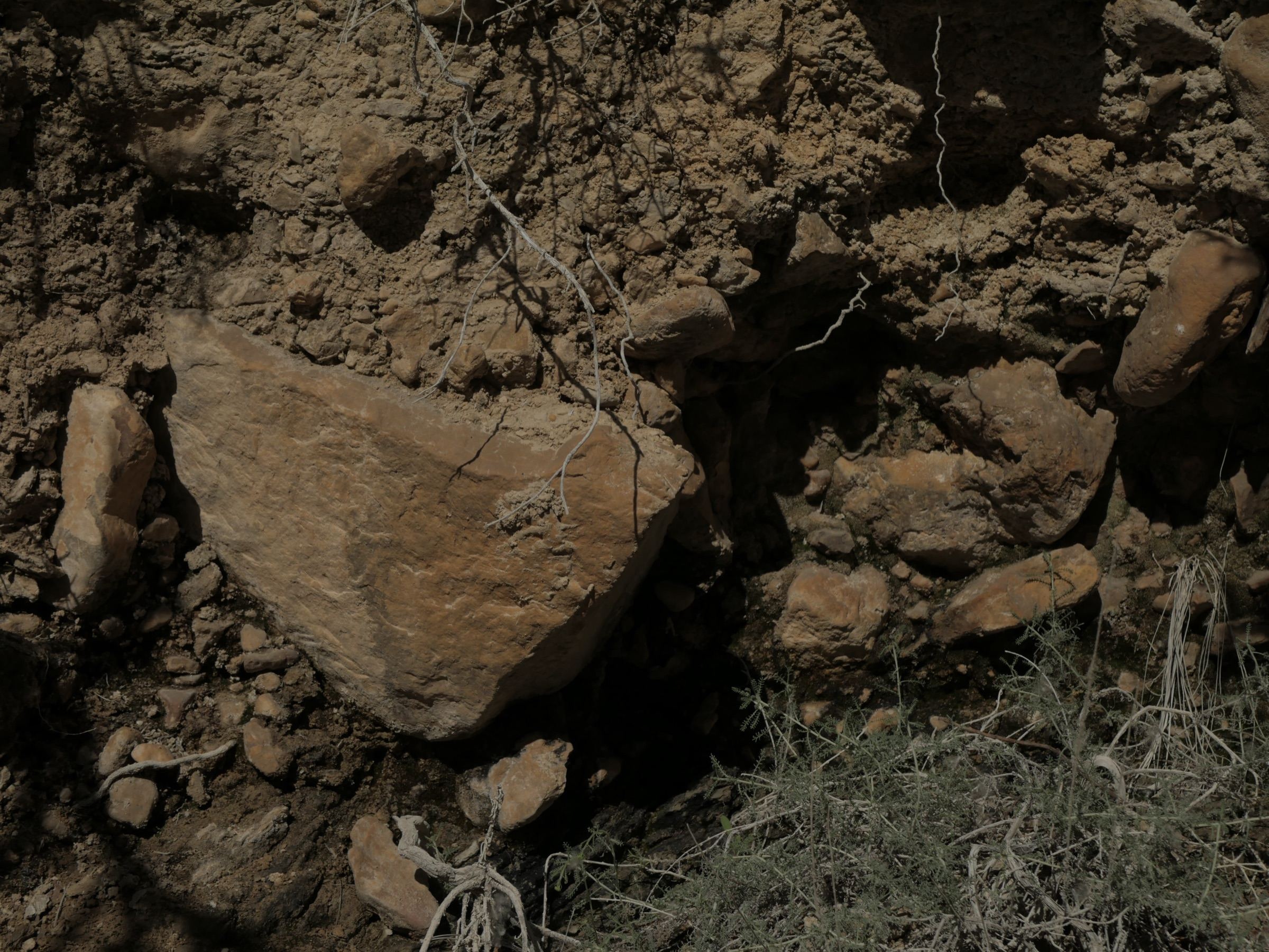 Textura de roca y raíces en primer plano